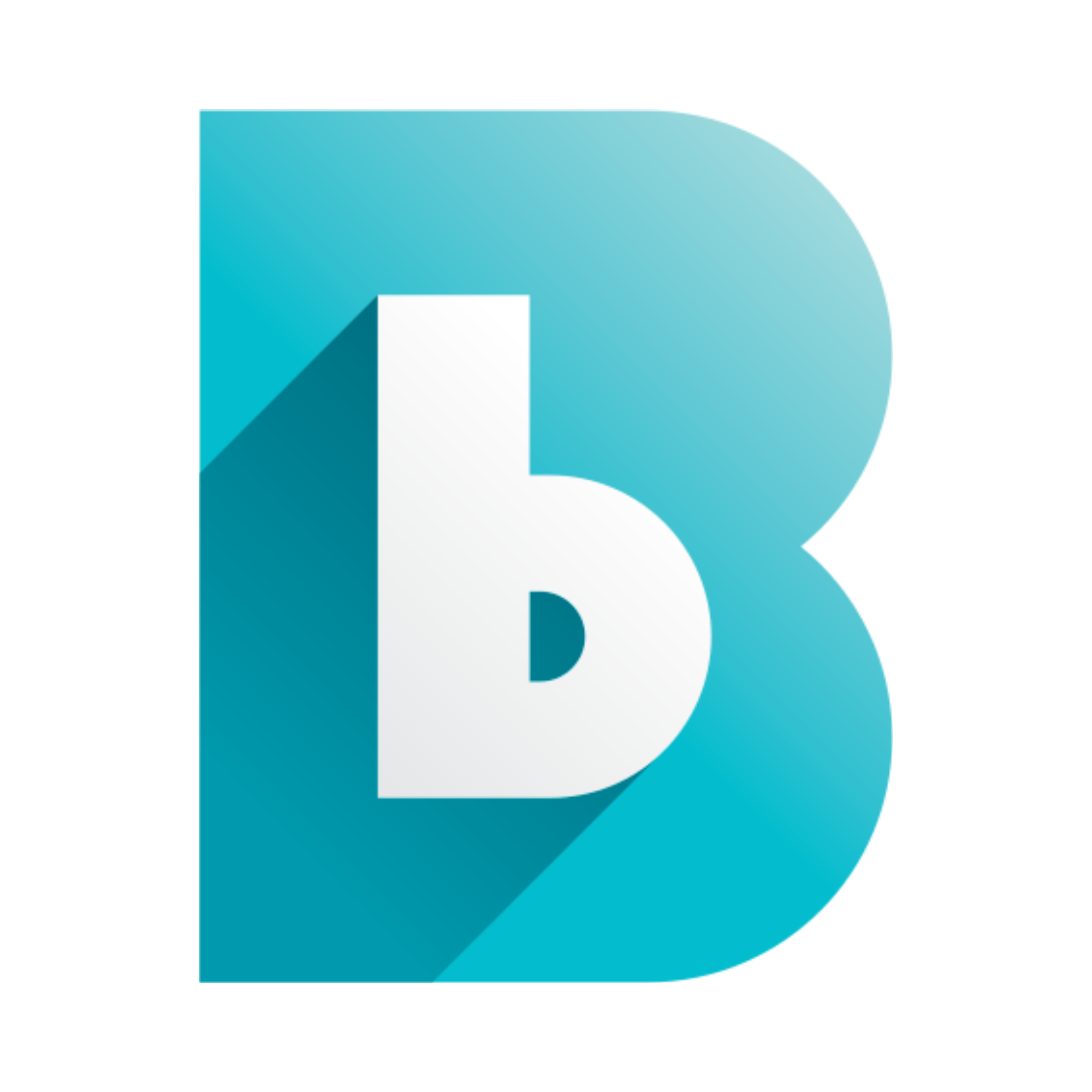 Biznify favicon logo